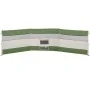 Cortaviento de camping impermeable verde 508x130 cm de , Paravientos - Ref: Foro24-4009660, Precio: 35,44 €, Descuento: %