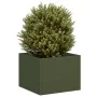 Jardinera acero verde oliva 40x40x30 cm de , Maceteros y jardineras - Ref: Foro24-860797, Precio: 43,20 €, Descuento: %
