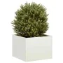 Jardinera acero blanco 40x40x30 cm de , Maceteros y jardineras - Ref: Foro24-860795, Precio: 49,19 €, Descuento: %