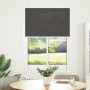 Estor Plisado negro 100x100 cm Tela Ancho 99,4 cm Poliéster de , Persianas y estores - Ref: Foro24-4015126, Precio: 17,46 €, ...