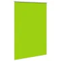 Estor Enrollable Opaco hojas verde 160x230cm Tela Ancho 156,6cm de , Persianas y estores - Ref: Foro24-4011348, Precio: 34,06...