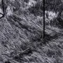 Alfombra de pelo largo NAVARRA gris oscuro 160x230 cm poliéster de , Alfombras - Ref: Foro24-4102840, Precio: 52,99 €, Descue...