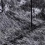 Alfombra de pelo largo NAVARRA gris oscuro 240x340 cm poliéster de , Alfombras - Ref: Foro24-4102856, Precio: 90,57 €, Descue...