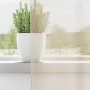 Cortinas de gasa con ojales 2 uds crema 140x260 cm von , Vorhänge und Gardinen - Ref: Foro24-4102075, Preis: 15,29 €, Rabatt: %
