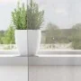 Cortinas de gasa con ojales 2 uds gris claro 140x260 cm by , Curtains and curtains - Ref: Foro24-4102111, Price: 15,29 €, Dis...
