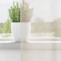 Cortinas de gasa con trabillas 2 uds. crema de , Cortinas y visillos - Ref: Foro24-4102269, Precio: 15,00 €, Descuento: %