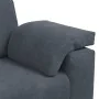 Sofá Loveseat gris oscuro 120 cm terciopelo de , Sofás - Ref: Foro24-4105258, Precio: 216,77 €, Descuento: %