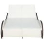 Tumbona doble con cojín de ratán sintético marrón de , Tumbonas - Ref: Foro24-41976, Precio: 396,81 €, Descuento: %