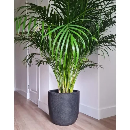 Capi Macetero Waste Smooth gris 43x41 cm de , Maceteros y jardineras - Ref: Foro24-442104, Precio: 75,77 €, Descuento: %