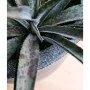 Capi Macetero Waste Smooth gris 43x41 cm de , Maceteros y jardineras - Ref: Foro24-442104, Precio: 75,77 €, Descuento: %