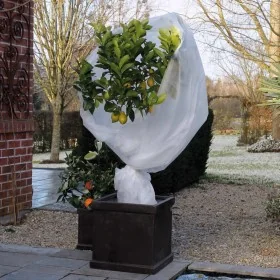 Nature Velo de hibernación polar antiheladas blanco 30 g/m² 2x5 m de , Accesorios de jardinería - Ref: Foro24-434642, Precio:...