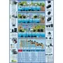 Ubbink Fltro de estanque FiltraClear 8000 Plus 1355167 de , Accesorios para estanques y fuentes - Ref: Foro24-401423, Precio:...
