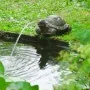 Ubbink Fuente de jardín con chorro y en forma de tortuga de , Fuentes y cascadas - Ref: Foro24-442055, Precio: 46,48 €, Descu...
