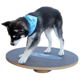 FitPAWS Tabla de equilibrio negro 50 cm by , Pet Exercise Equipment - Ref: Foro24-433830, Price: 94,38 €, Discount: %