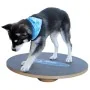 FitPAWS Tabla de equilibrio negro 50 cm by , Pet Exercise Equipment - Ref: Foro24-433830, Price: 94,38 €, Discount: %