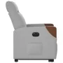 Sillón eléctrico reclinable elevable de tela gris nube de , Sillones - Ref: Foro24-3324021, Precio: 323,18 €, Descuento: %