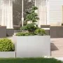 Jardinera 120x80x80 cm acero inoxidable de , Maceteros y jardineras - Ref: Foro24-860791, Precio: 216,94 €, Descuento: %