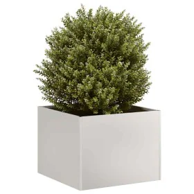 Jardinera 40x40x30 cm acero inoxidable de , Maceteros y jardineras - Ref: Foro24-860798, Precio: 53,46 €, Descuento: %