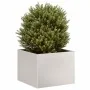 Jardinera 40x40x30 cm acero inoxidable de , Maceteros y jardineras - Ref: Foro24-860798, Precio: 53,46 €, Descuento: %