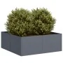 Jardinera acero gris antracita 80x80x30 cm de , Maceteros y jardineras - Ref: Foro24-860803, Precio: 67,99 €, Descuento: %