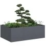 Jardinera acero gris antracita 120x80x40 cm de , Maceteros y jardineras - Ref: Foro24-860747, Precio: 95,06 €, Descuento: %