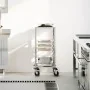 Carro con bandejas y 6 contenedores GN 39x55x87 cm de , Carros de cocina y comedor - Ref: Foro24-4108073, Precio: 104,52 €, D...
