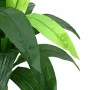 Árbol dracaena artificial 36 hojas 180 cm verde de , Flora artificial - Ref: Foro24-4103585, Precio: 75,08 €, Descuento: %