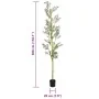 Árbol de olivo artificial con 1000 hojas verde 300 cm de , Flora artificial - Ref: Foro24-4103570, Precio: 111,61 €, Descuent...