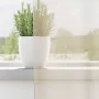 Cortinas de gasa con ojales 2 uds crema 140x140 cm de , Cortinas y visillos - Ref: Foro24-4102071, Precio: 13,30 €, Descuento: %