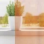 Chiffon curtains with 2 orange tab tops, 140x260 cm by , Curtains and curtains - Ref: Foro24-4102285, Price: 15,26 €, Discoun...