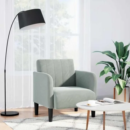 Sillón con reposabrazos Terciopelo Gris Claro 54 cm de , Sillones - Ref: Foro24-4100578, Precio: 111,89 €, Descuento: %
