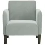 Sillón con reposabrazos Terciopelo Gris Claro 54 cm de , Sillones - Ref: Foro24-4100578, Precio: 111,89 €, Descuento: %
