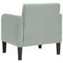 Sillón con reposabrazos Terciopelo Gris Claro 54 cm de , Sillones - Ref: Foro24-4100578, Precio: 111,89 €, Descuento: %