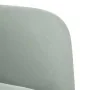 Sillón con reposabrazos Terciopelo Gris Claro 54 cm de , Sillones - Ref: Foro24-4100578, Precio: 111,89 €, Descuento: %