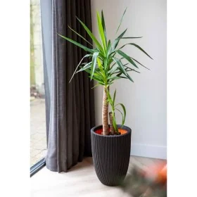 Capi Jarrón elegante Groove negro 34x46 cm de , Maceteros y jardineras - Ref: Foro24-445496, Precio: 77,65 €, Descuento: %