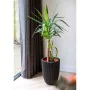 Capi Jarrón elegante Groove negro 34x46 cm de , Maceteros y jardineras - Ref: Foro24-445496, Precio: 77,65 €, Descuento: %