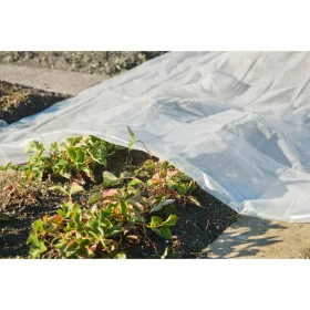 Nature Cobertor para plantas transparente 4x6 m 100µ de , Accesorios de jardinería - Ref: Foro24-446379, Precio: 30,73 €, Des...