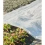 Nature Cobertor para plantas transparente 4x6 m 100µ de , Accesorios de jardinería - Ref: Foro24-446379, Precio: 30,73 €, Des...