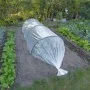 Nature Cobertor para plantas transparente 4x6 m 100µ de , Accesorios de jardinería - Ref: Foro24-446379, Precio: 30,73 €, Des...