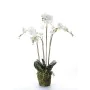Emerald Orquídea artificial con musgo blanca 90 cm 20.355 de , Flora artificial - Ref: Foro24-414484, Precio: 134,54 €, Descu...
