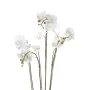 Emerald Orquídea artificial con musgo blanca 90 cm 20.355 de , Flora artificial - Ref: Foro24-414484, Precio: 134,54 €, Descu...