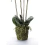 Emerald Orquídea artificial con musgo blanca 90 cm 20.355 de , Flora artificial - Ref: Foro24-414484, Precio: 134,54 €, Descu...