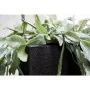 Capi Jardinera cuadrada Urban Smooth negra 40x40x40 cm KBL903 de , Maceteros y jardineras - Ref: Foro24-424342, Precio: 101,7...