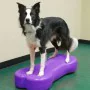 FitPAWS Plataforma de equilibrio mascotas Giant K9FITbone PVC morado de , Equipos para el ejercicio de mascotas - Ref: Foro24...