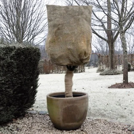 Nature Funda cubre plantas anti-heladas jute natural 230 g/m² 0,75x1 m de , Accesorios de jardinería - Ref: Foro24-434645, Pr...