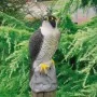 Ubbink Figura de animal halcón 40 cm de , Adornos para césped y esculturas para jardín - Ref: Foro24-423539, Precio: 39,69 €,...