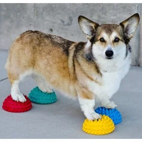FitPAWS Accesorios de equilibrio para patas de mascotas 4 unidades by , Pet Exercise Equipment - Ref: Foro24-433835, Price: 7...