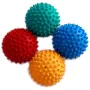 FitPAWS Accesorios de equilibrio para patas de mascotas 4 unidades de , Equipos para el ejercicio de mascotas - Ref: Foro24-4...