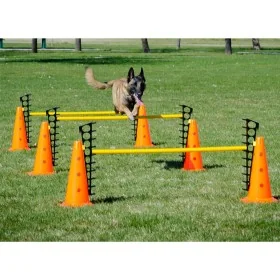 FitPAWS Juego de obstáculos by , Pet Exercise Equipment - Ref: Foro24-433823, Price: 191,46 €, Discount: %