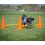 FitPAWS Juego de obstáculos de , Equipos para el ejercicio de mascotas - Ref: Foro24-433823, Precio: 191,46 €, Descuento: %